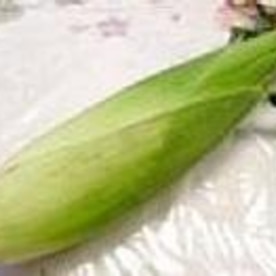 Io87hqtekxatvm Io87hqtekxatvm